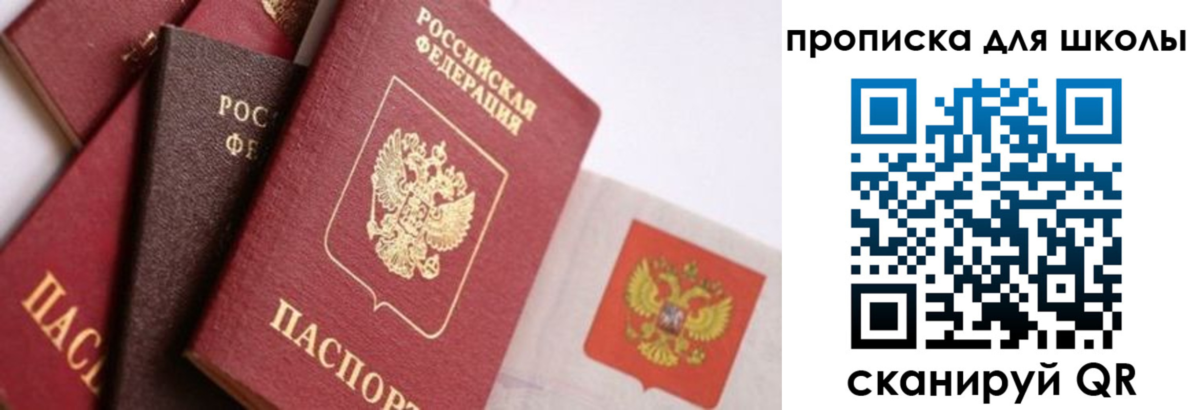 прописка поиск в Шуе